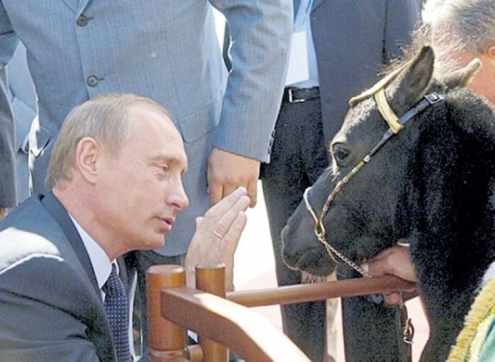 Малоизвестные факты из жизни Владимира Путина