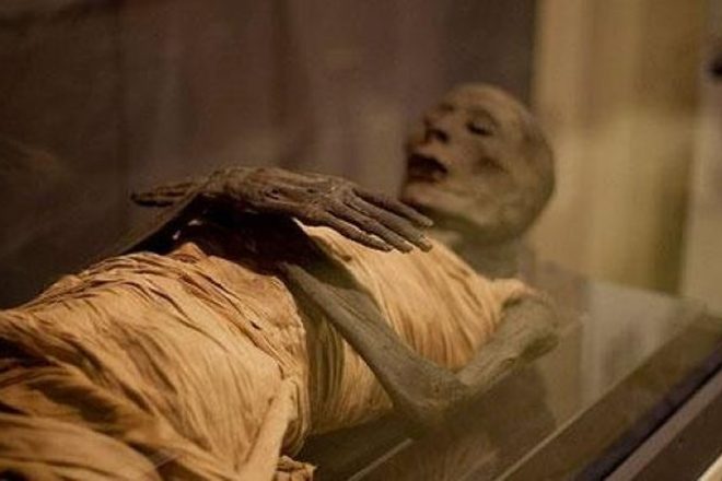 Ученые изучили ДНК египетских мумий. Историю будут переписывать!