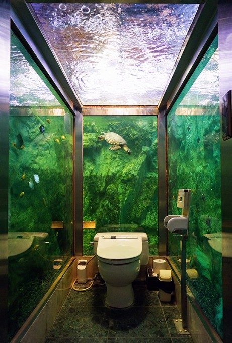 Cамые необычные туалеты Японии