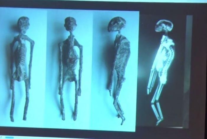 Шок! Найденные в Перу трехпалые мумии, не являются людьми!