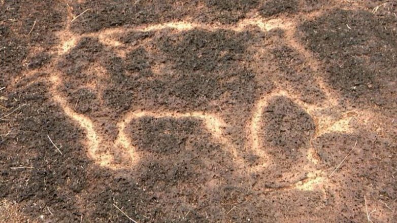 Сенсация! В Индии нашли доисторические следы неизвестной цивилизации