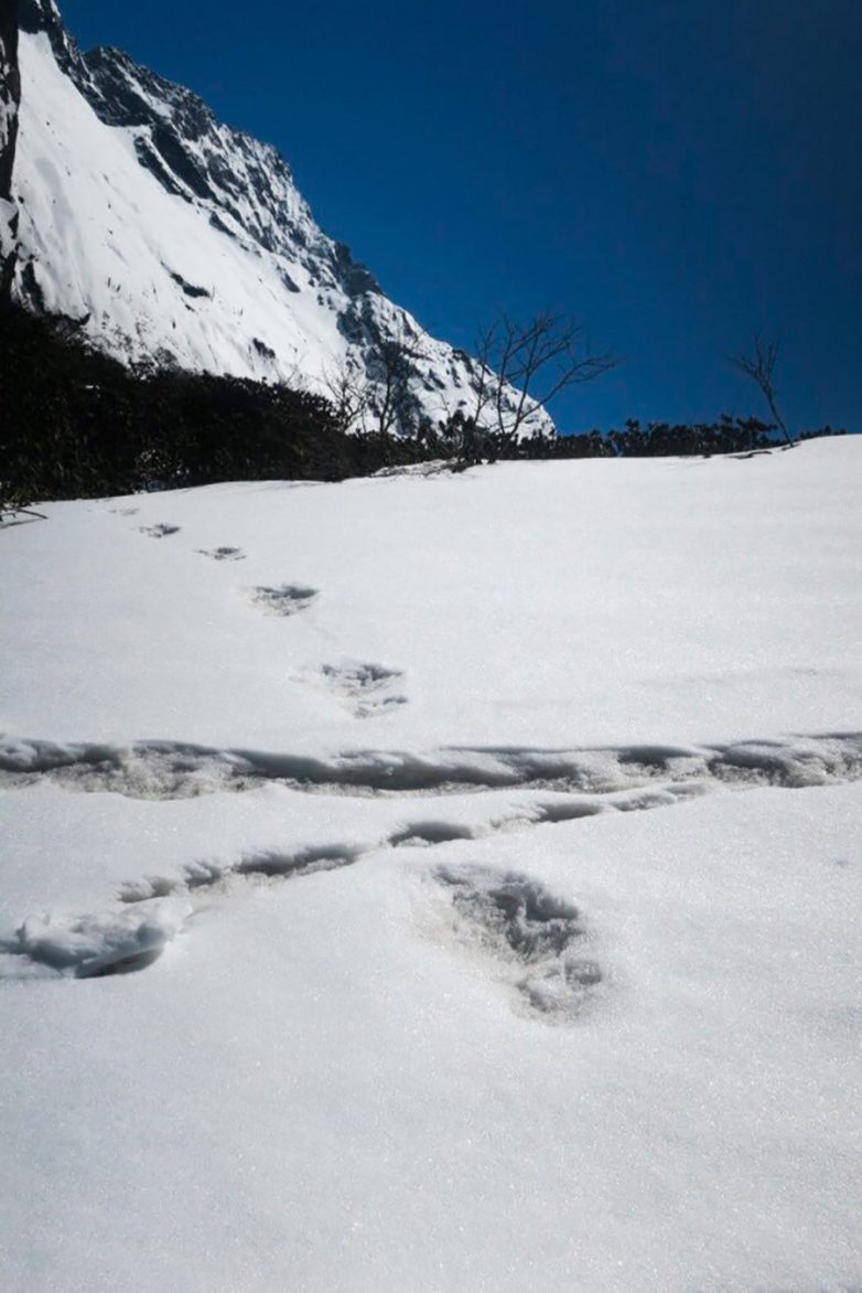 Сенсация! Индийские военные нашли следы снежного человека