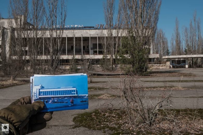 20 снимков из Чернобыля, показывающие, как природа восстанавливает заражённую землю