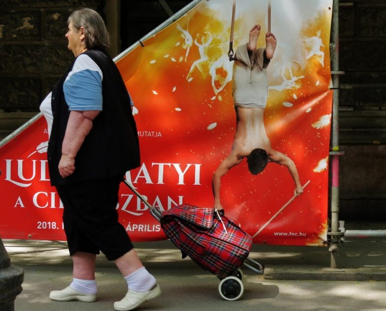 Когда фотографии сделаны в самый подходящий момент