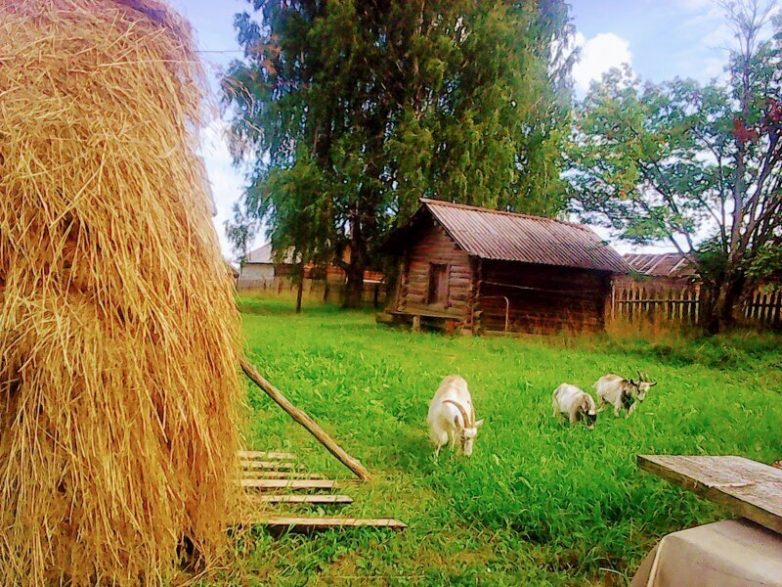 16 эмоциональных фото русской деревни, которые возвратят вас на мгновение в детство