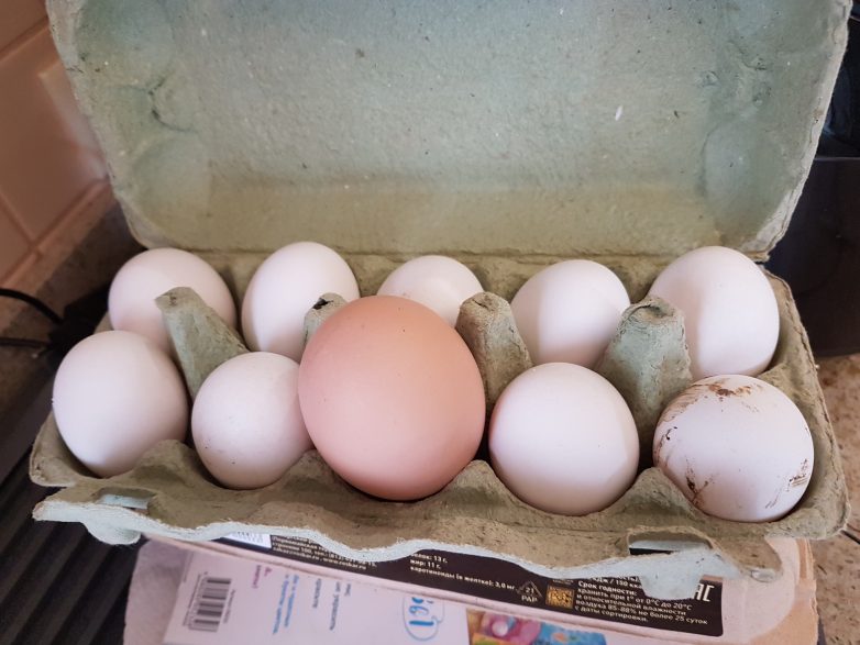 19 крайне странных вещей-сюрпризов, которые вполне реальны / Всё самое лучшее из интернета