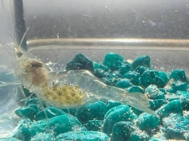 Что нужно увидеть в жизни