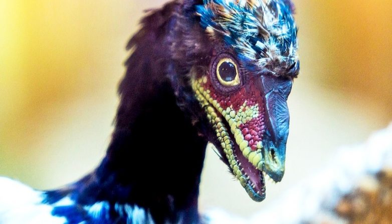 25 безумных фактов о существах и вещах, созданных в лаборатории