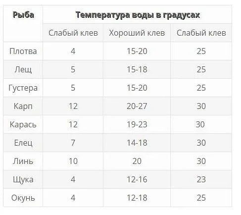 25 крайне полезных шпаргалок для жизни. Сохраните это в закладки!