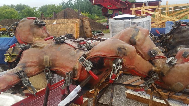 13 фантастических кадров, которые нужно увидеть хотя бы раз в жизни!