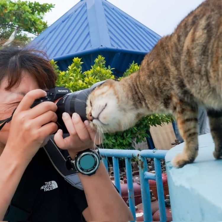 16 забавных фотографий, на которых непонятно что происходит