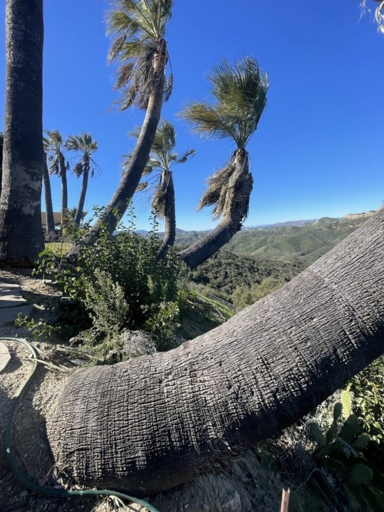 30 вопиющих нарушений, обнаруженных строительными инспекторами