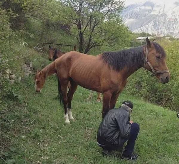 Смешные кадры, которые придётся внимательно рассматривать, чтобы понять