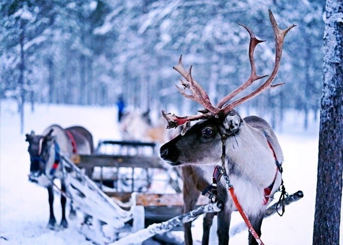 Факты, которые люди узнали уже в зрелом возрасте