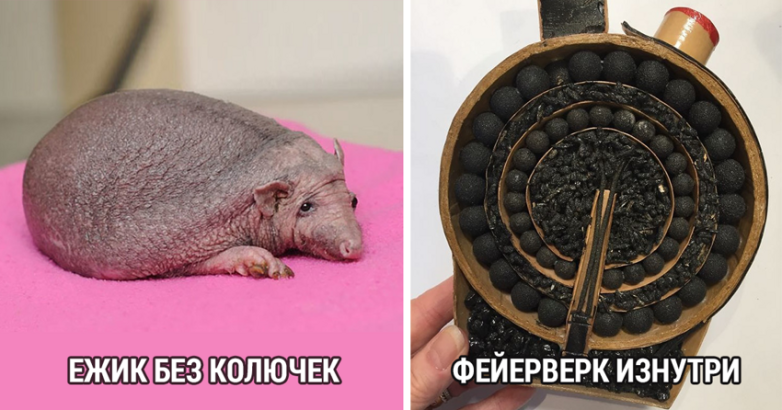 Всем знакомые вещи с новой стороны