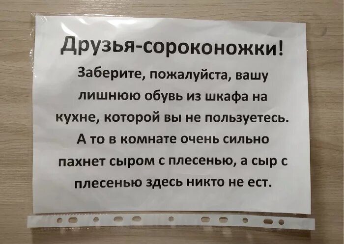 Объявления, которые получились настолько странными и забавными, что остаться без улыбки нереально