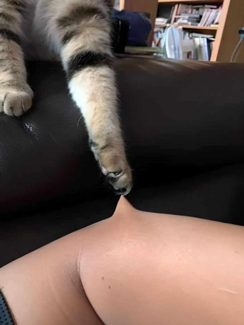 Снимки, которые вызовут у вас неприятные мурашки и заставят задуматься о судьбе других людей