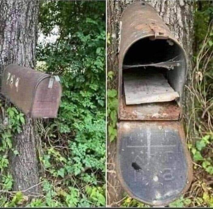Причудливые вещи, обнаруженные в старых домах