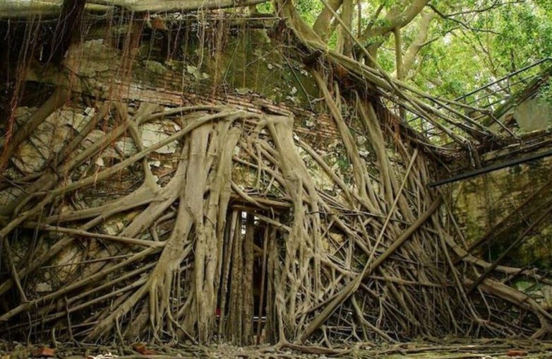 Планета и не такое переживет, а вот люди — вряд ли