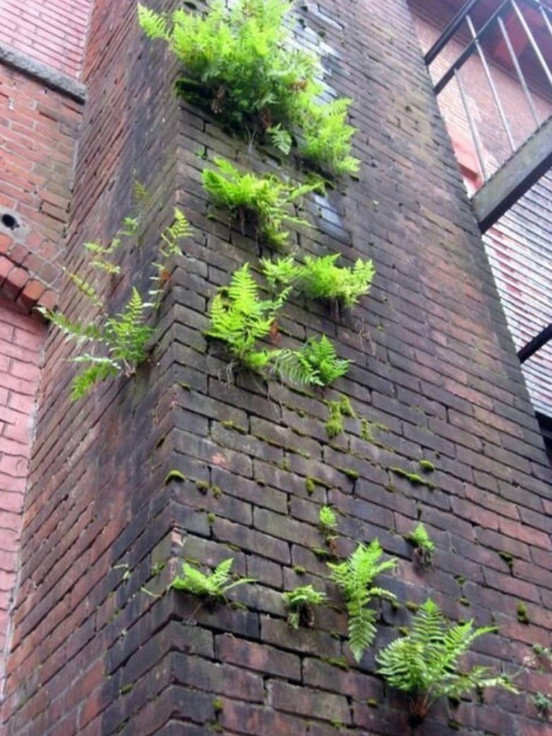 Планета и не такое переживет, а вот люди — вряд ли