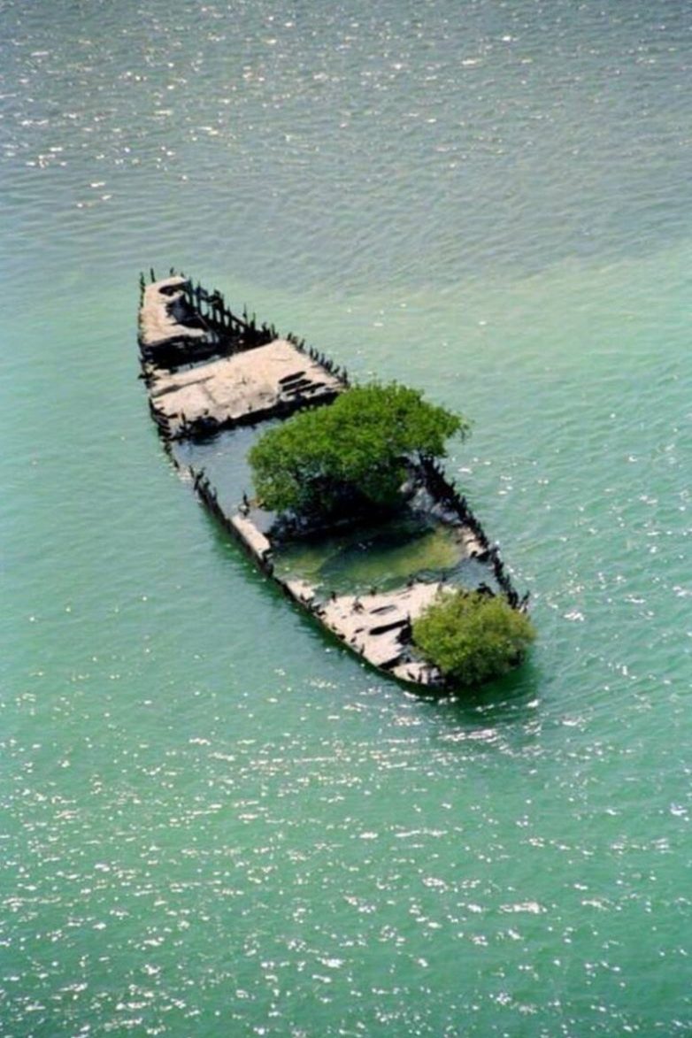 Планета и не такое переживет, а вот люди — вряд ли