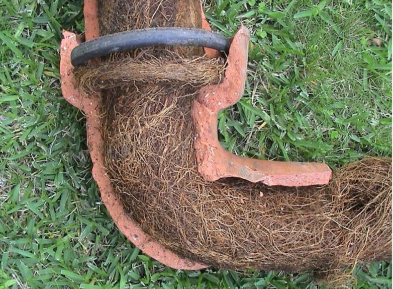 Планета и не такое переживет, а вот люди — вряд ли