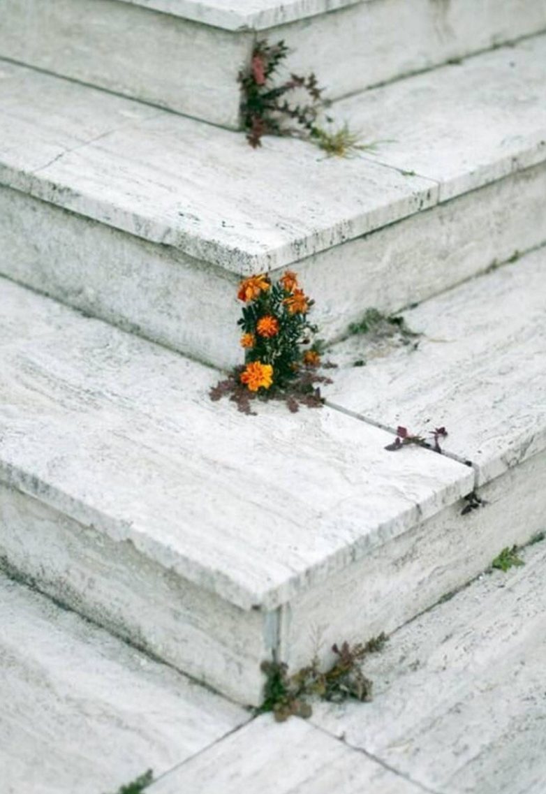 Планета и не такое переживет, а вот люди — вряд ли