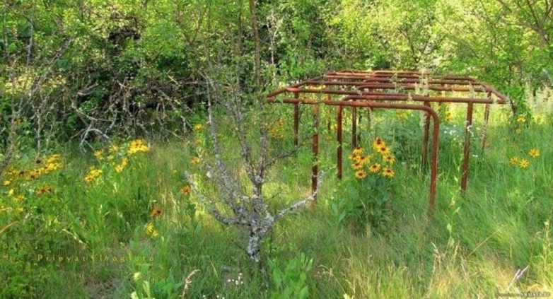 Планета и не такое переживет, а вот люди — вряд ли