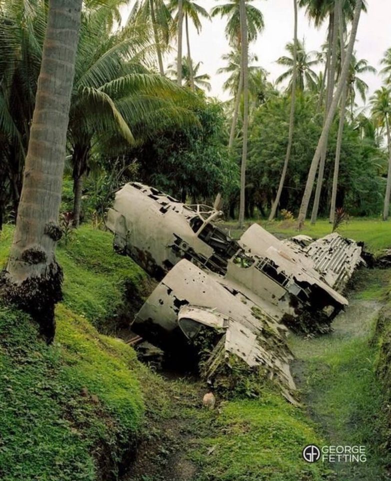 Планета и не такое переживет, а вот люди — вряд ли