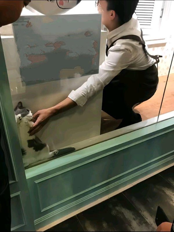 Что здесь происходит?!