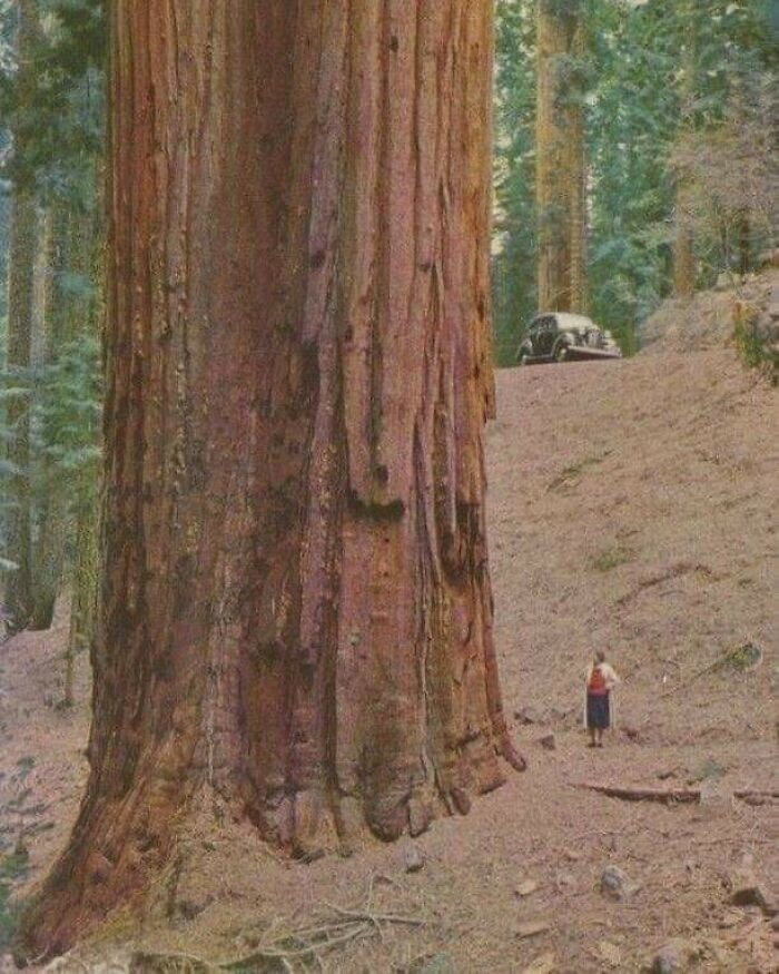 Впечатляющие фотографии, показывающие реальный масштаб вещей
