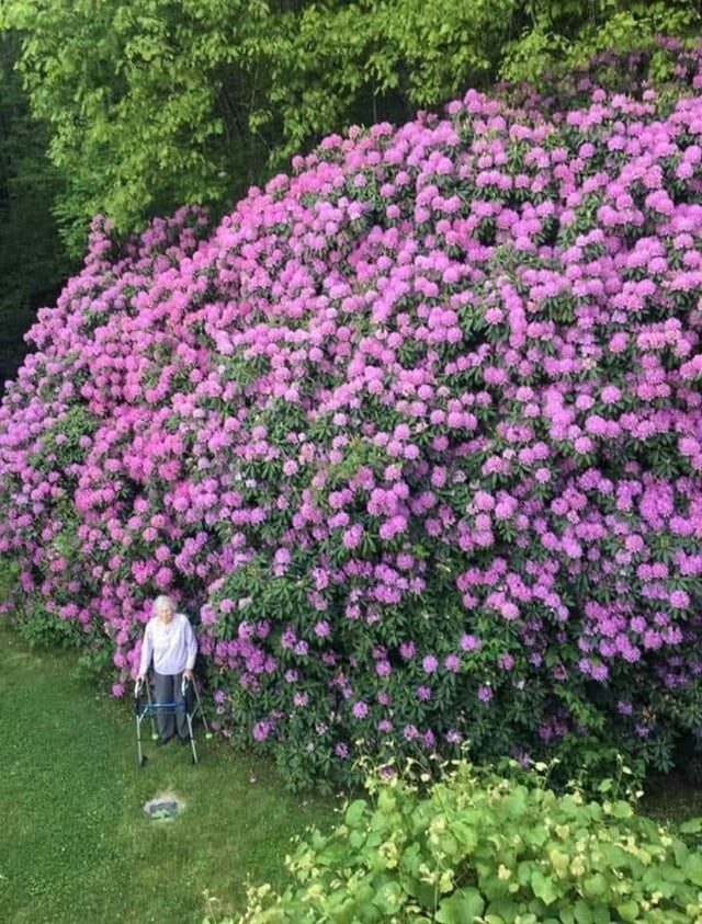 Впечатляющие фотографии, показывающие реальный масштаб вещей