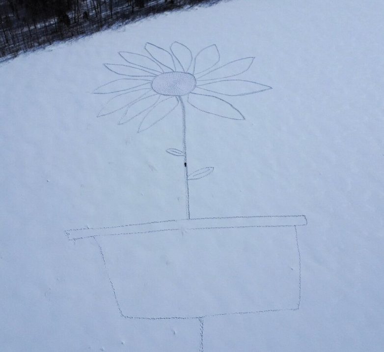 Впечатляющие фотографии, показывающие реальный масштаб вещей