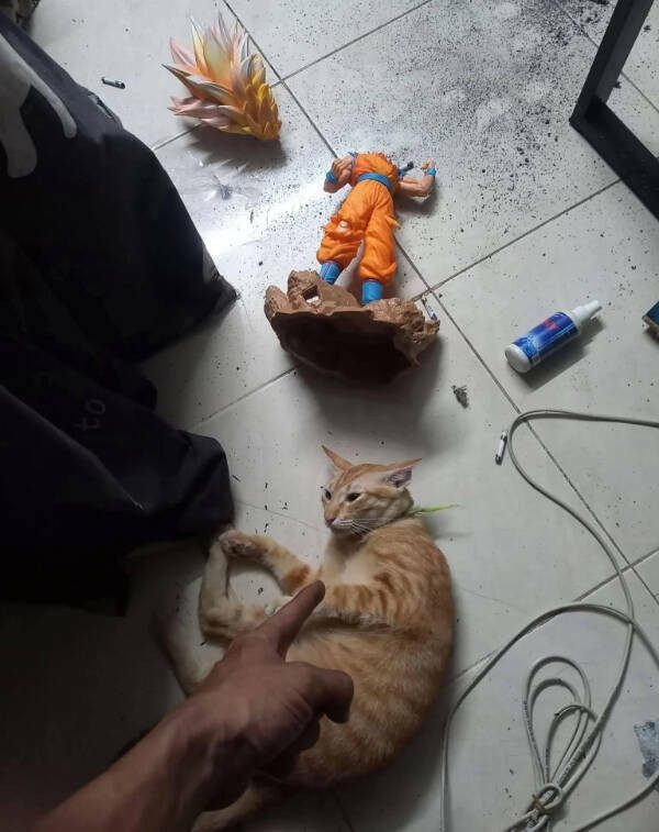 Неудачный день в картинках
