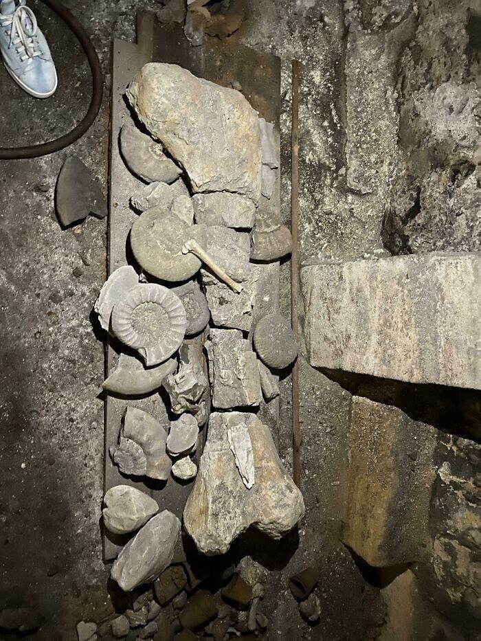 Необычные вещицы, которые люди обнаружили в старых домах