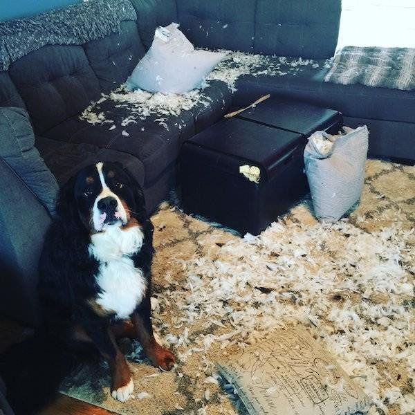 И не такое бывает…