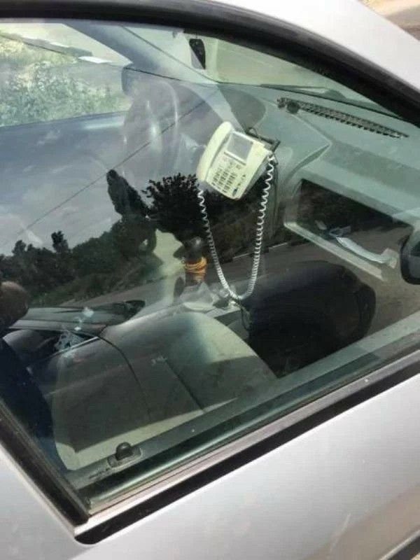 Люди, вещи и ситуации, которые не поддаются логике