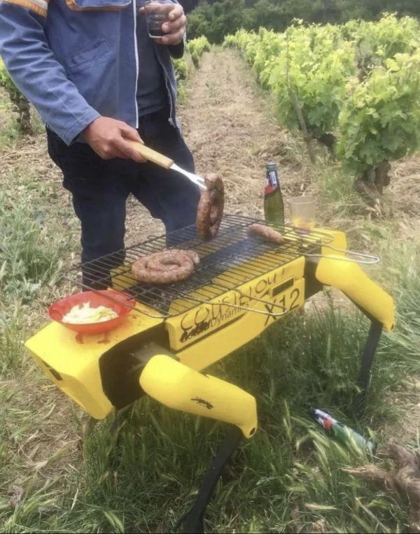 Люди, вещи и ситуации, которые не поддаются логике