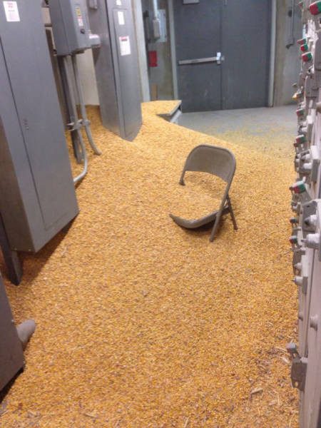 Когда кофе — единственный коллега, который не подводит. Рабочие приколы и казусы