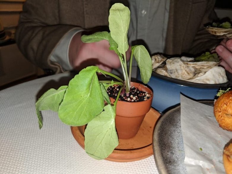 Шедевры гастрономического искусства на грани фола