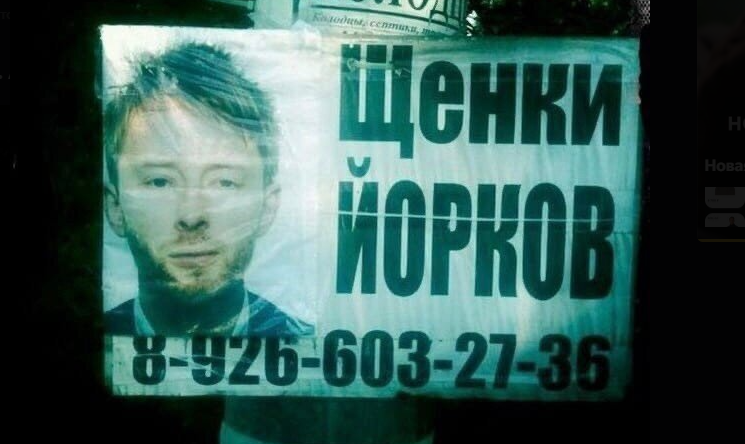 Забавные рекламные объявления и вывески с зарубежными знаменитостями