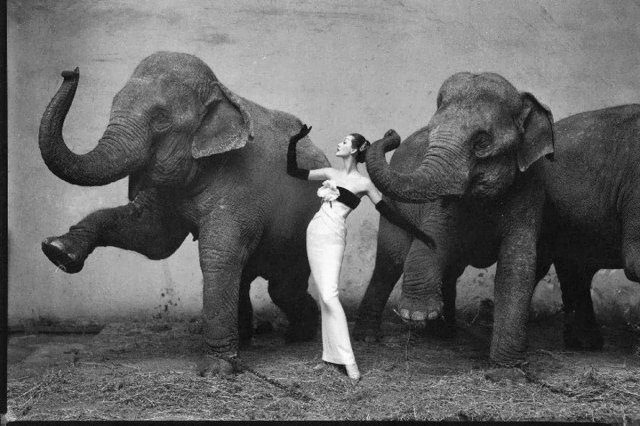 Исторические шедевры. Просто вау!