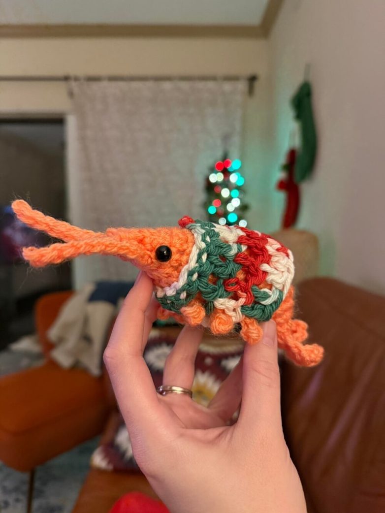 Умопомрачительные работы мастеров вязания