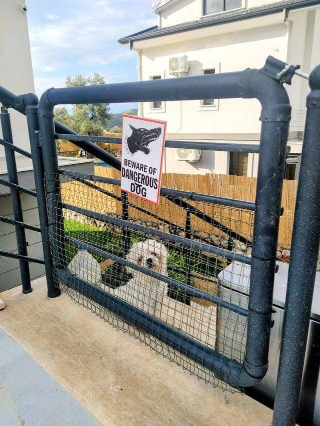 Любопытные и забавные случаи, когда надпись на табличке говорила одно, а реальность показывала другое