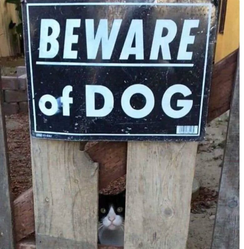 Любопытные и забавные случаи, когда надпись на табличке говорила одно, а реальность показывала другое