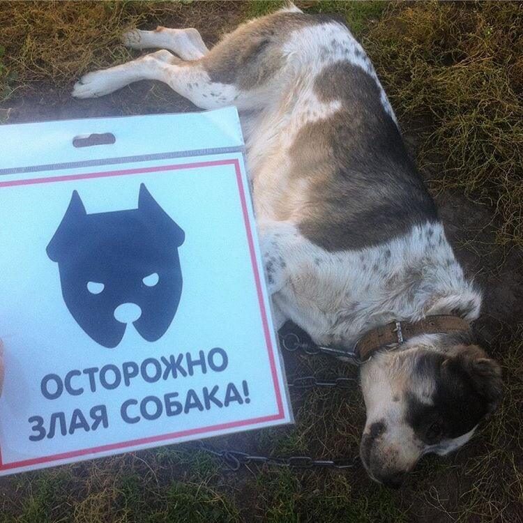 Любопытные и забавные случаи, когда надпись на табличке говорила одно, а реальность показывала другое