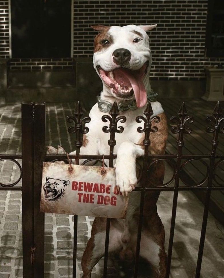 Любопытные и забавные случаи, когда надпись на табличке говорила одно, а реальность показывала другое