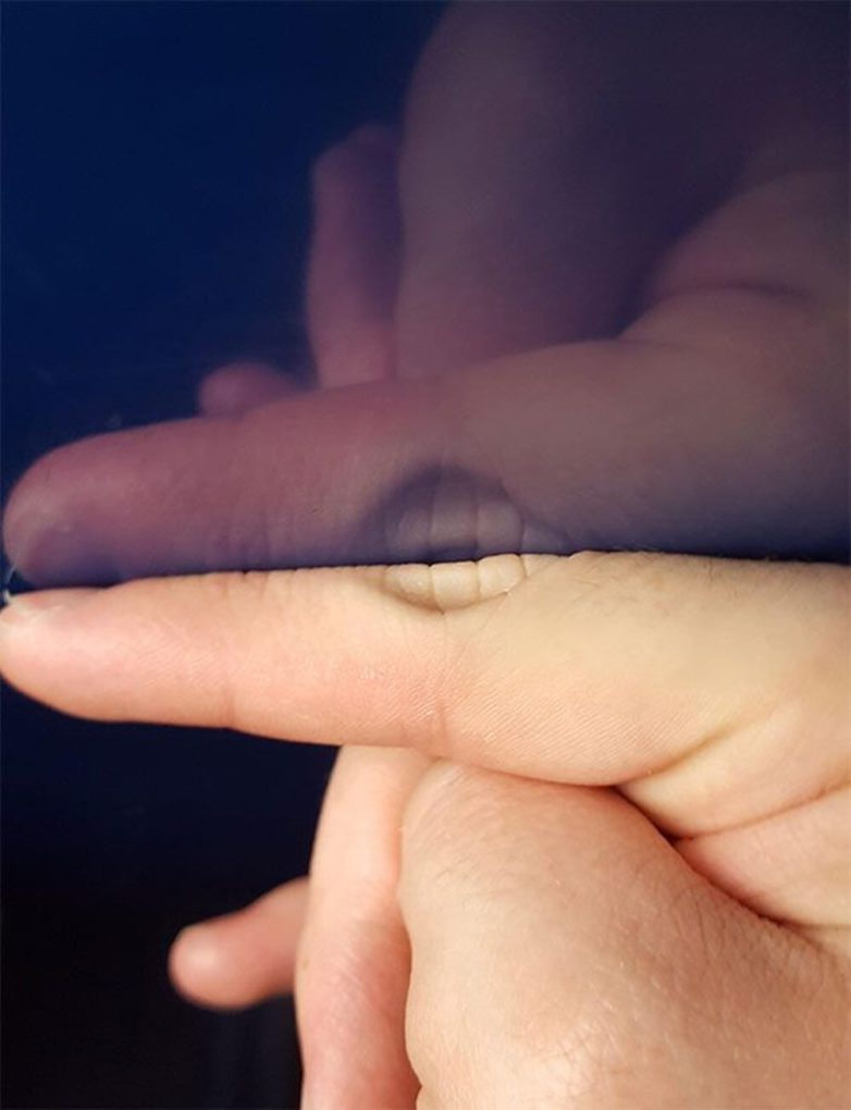 Яркие примеры того, как виртуозно глаза и мозг могут нас обманывать, создавая новую реальность