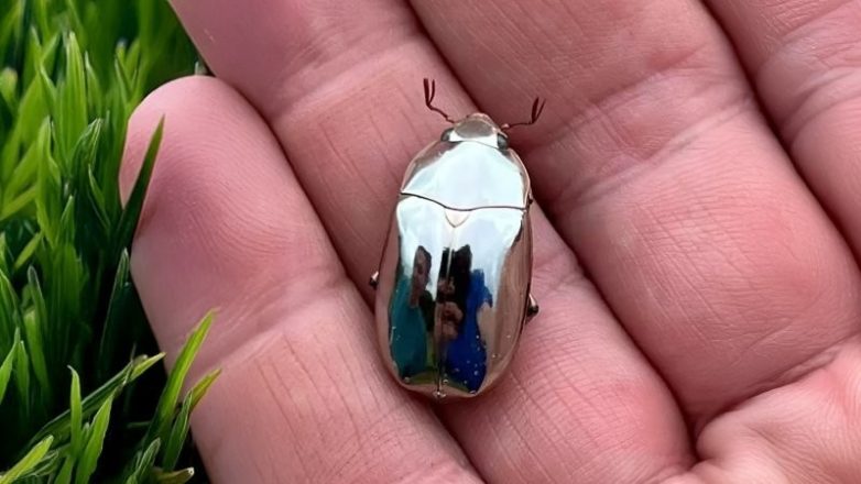 Примеров безупречной гармонии, превратившейся в искусство