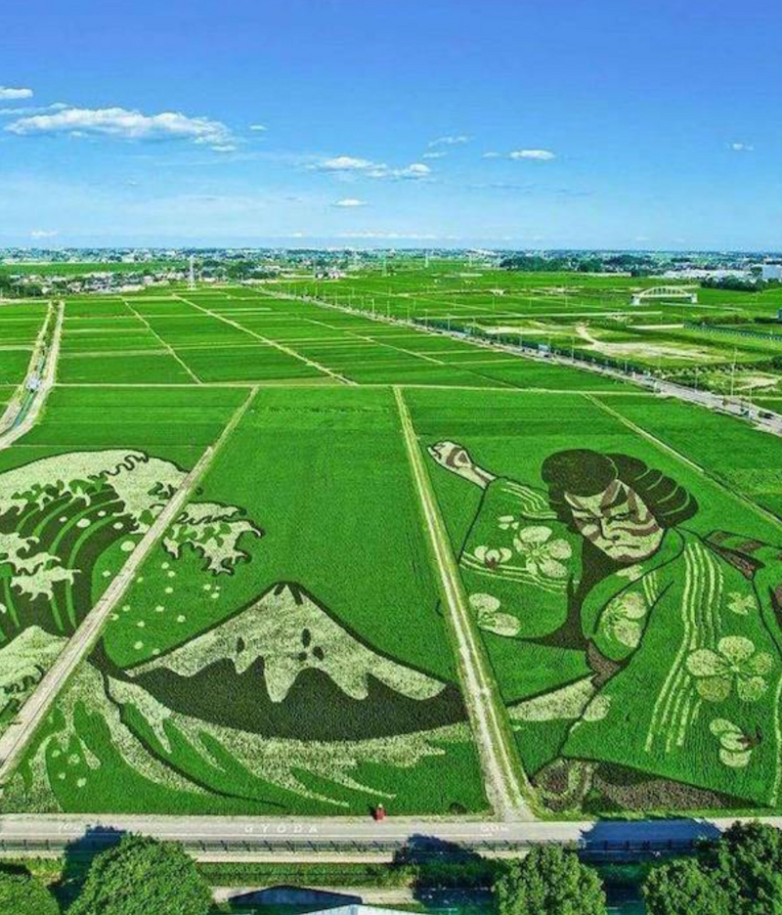 Примеров безупречной гармонии, превратившейся в искусство